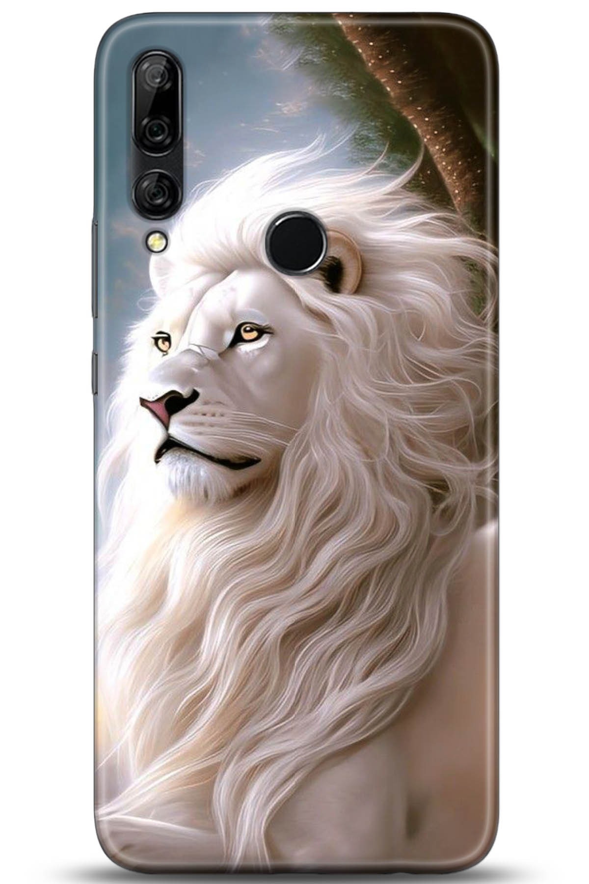 Huawei Y9 Prime 2019 Uyumlu Kılıf HD Baskılı Kılıf - Followed Institution 5114