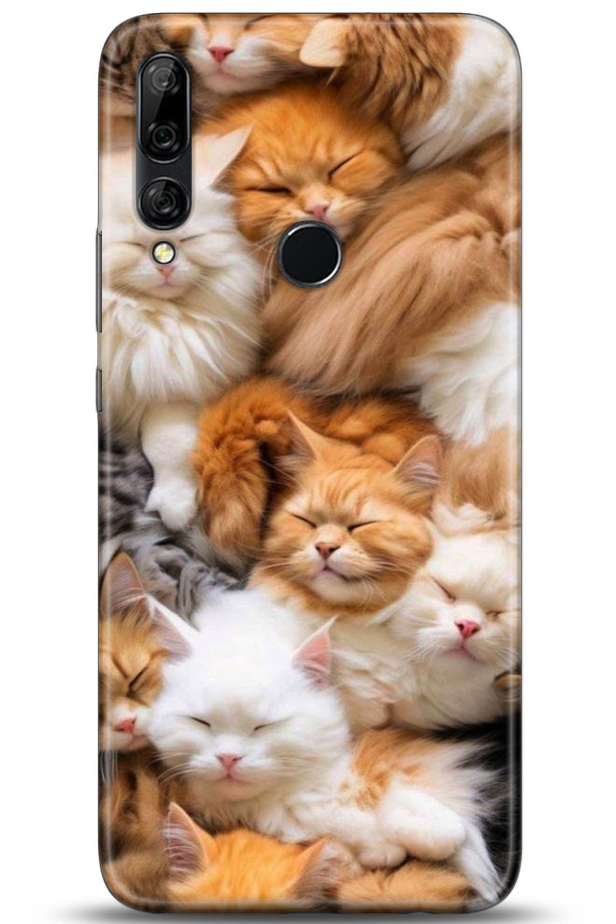 Huawei Y9 Prime 2019 Uyumlu Kılıf HD Baskılı Kılıf - Followed Institution 5234