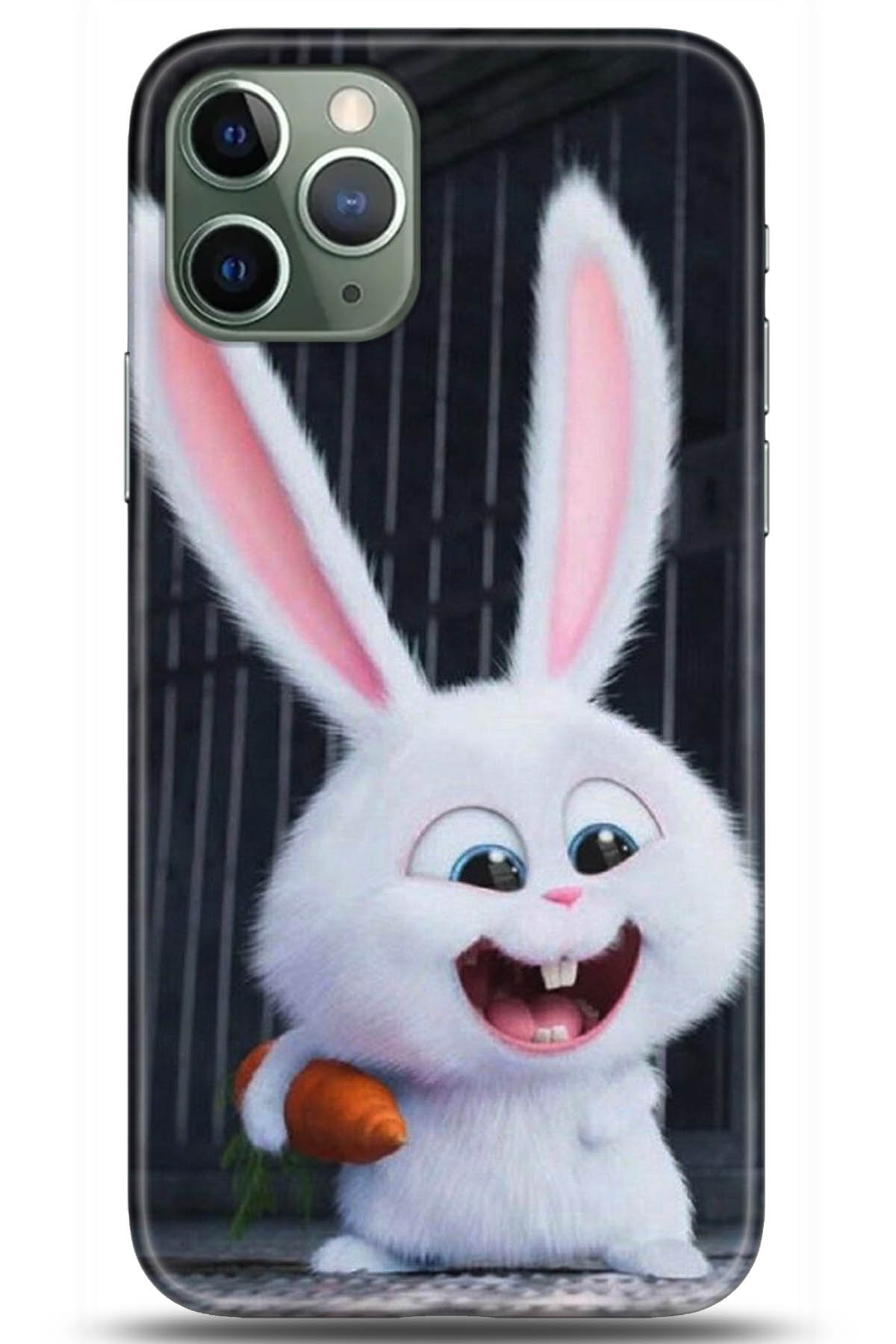 Apple iPhone 11 Pro Max Kılıf HD Baskılı Kılıf - Followed Institution 5048