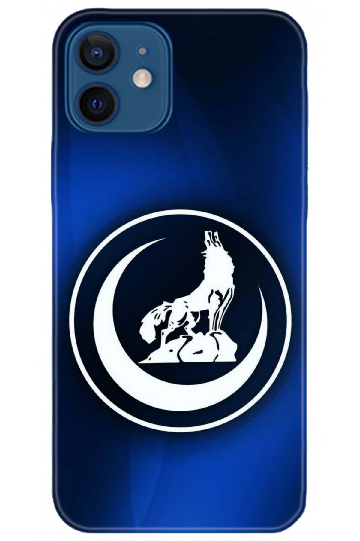 Apple iPhone 12 Mini Uyumlu Kılıf HD Baskılı Kılıf - Followed Institution 5130