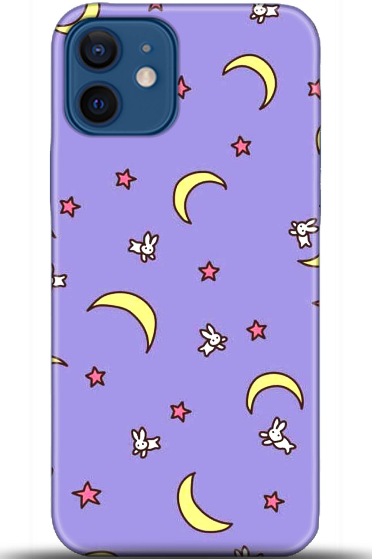 Apple iPhone 12 Mini Uyumlu Kılıf HD Baskılı Kılıf - Followed Institution 5523