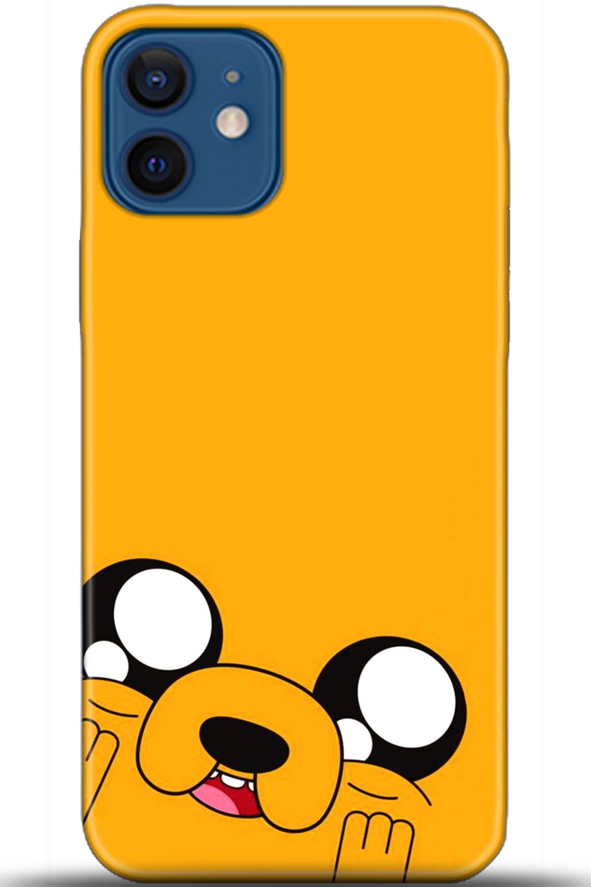 Apple iPhone 12 Mini Uyumlu Kılıf HD Baskılı Kılıf - Followed Institution 5531