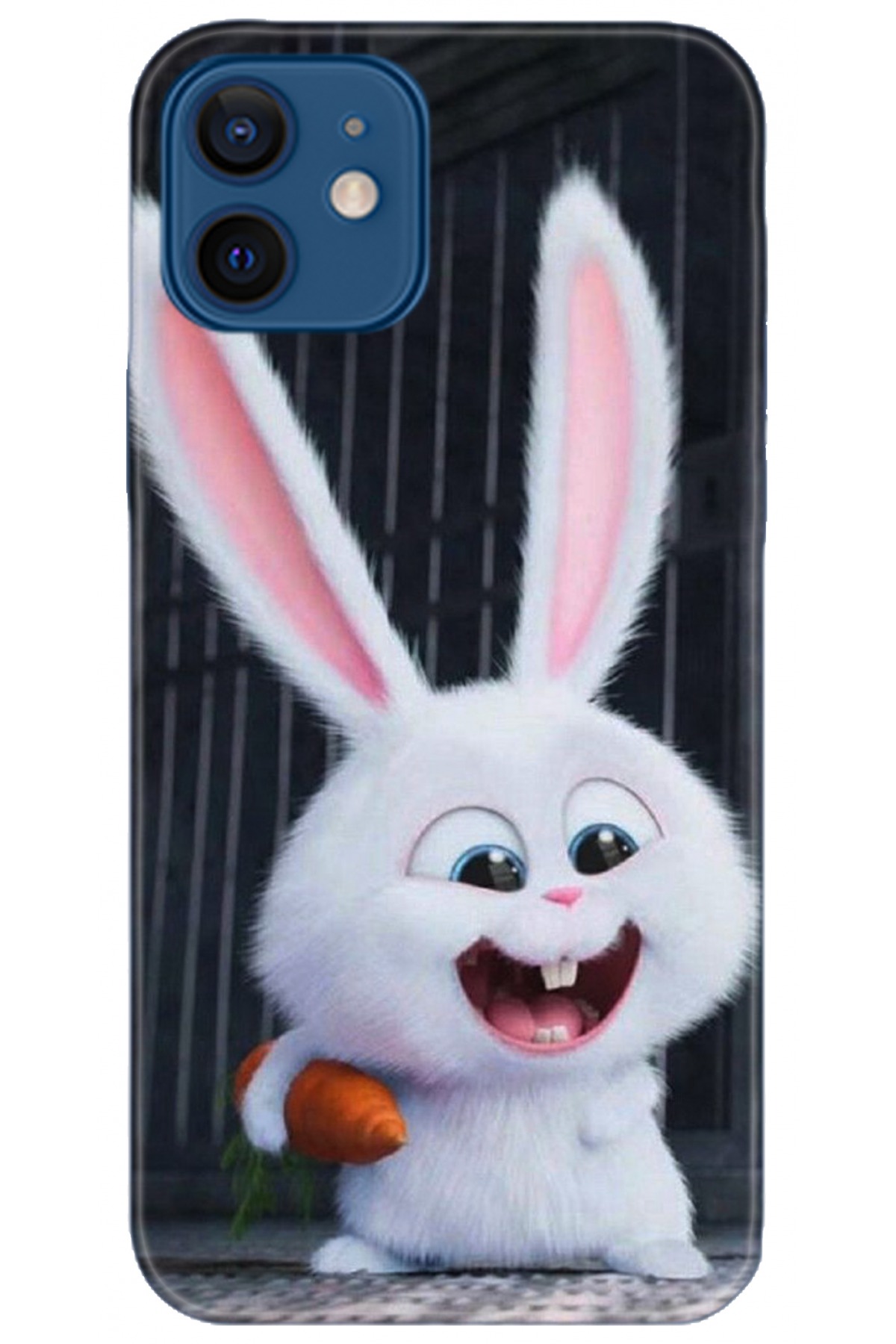 Apple iPhone 12 6.1inç Kılıf HD Baskılı Kılıf - Followed Institution 5048