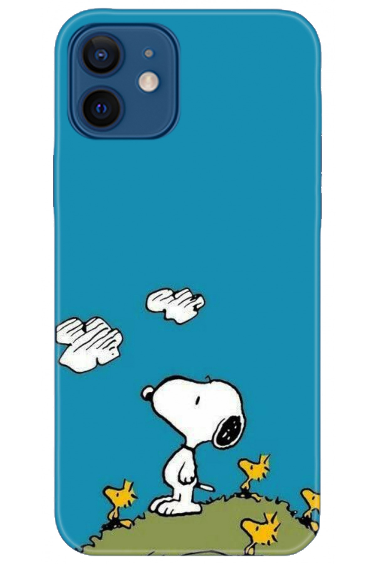 Apple iPhone 12 6.1inç Kılıf HD Baskılı Kılıf - Followed Institution 5099