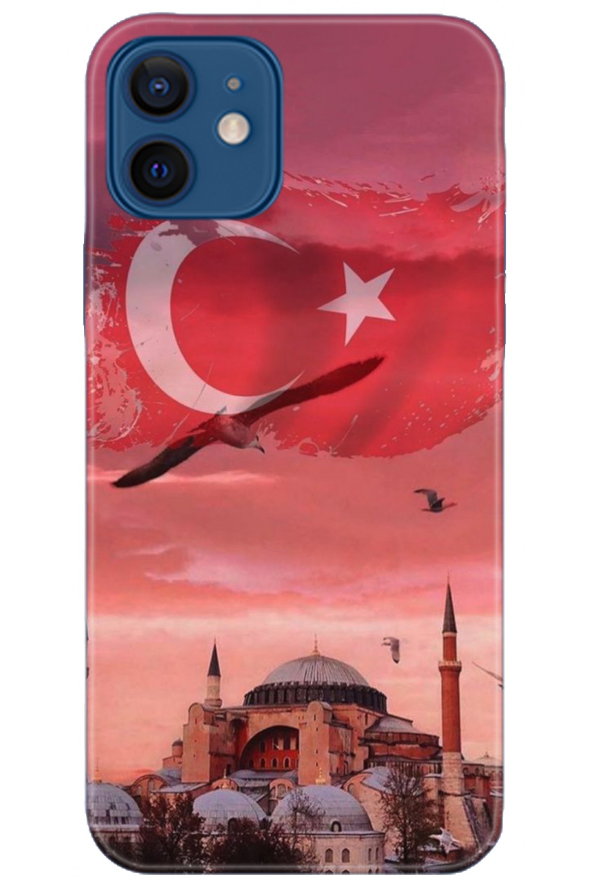 Apple iPhone 12 6.1inç Kılıf HD Baskılı Kılıf - Followed Institution 5179