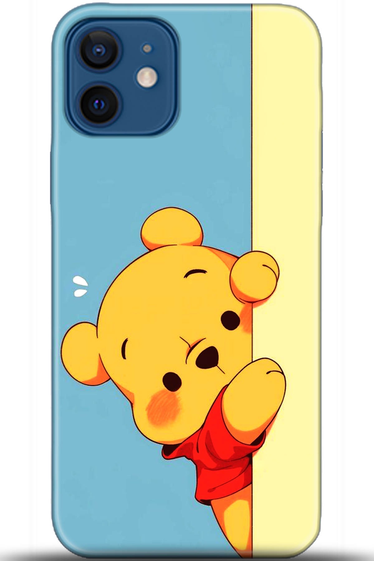 Apple iPhone 12 6.1inç Kılıf HD Baskılı Kılıf - Followed Institution 5648