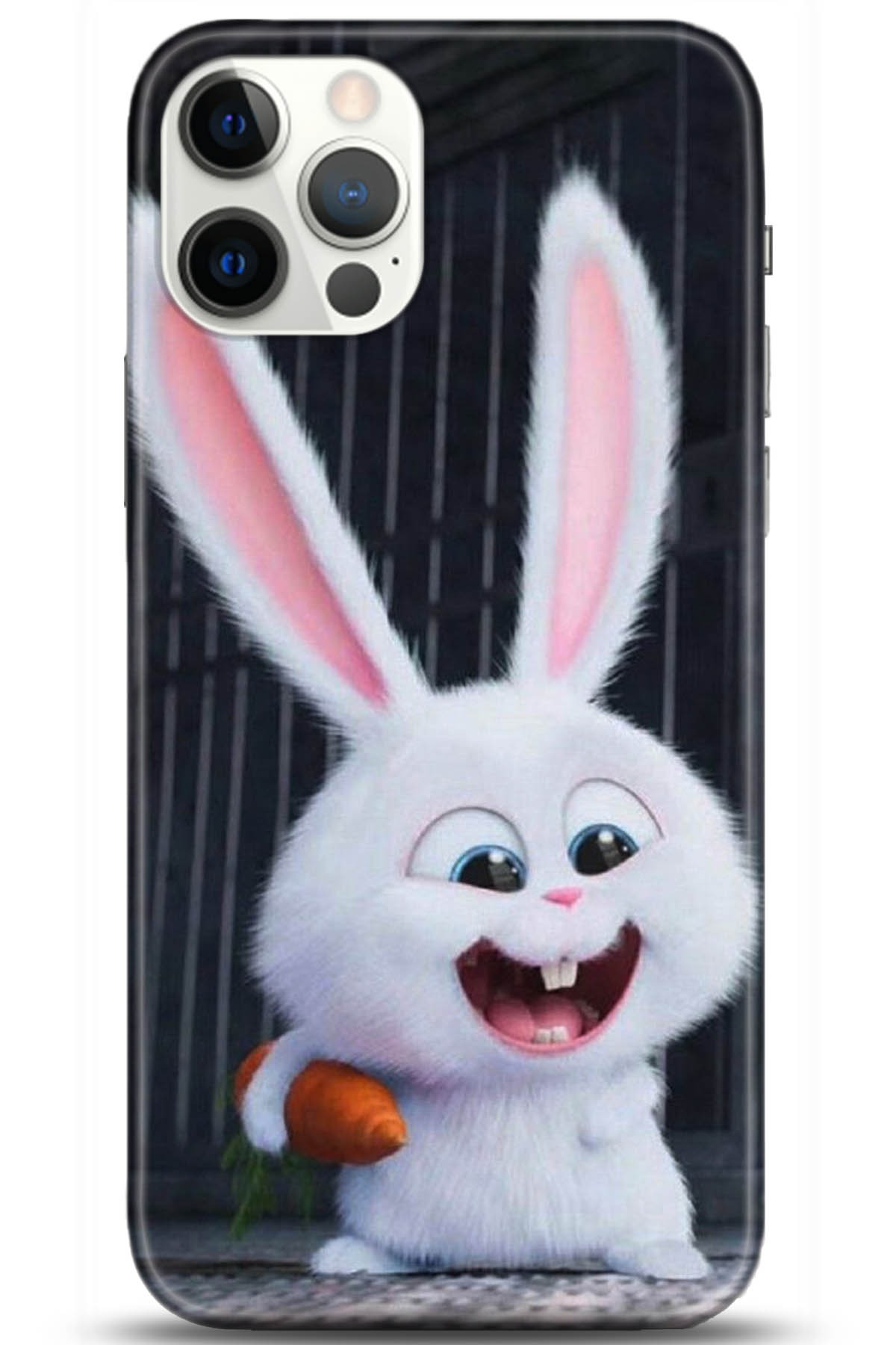 Apple iPhone 12 Pro 6.1inç Kılıf HD Baskılı Kılıf - Followed Institution 5048