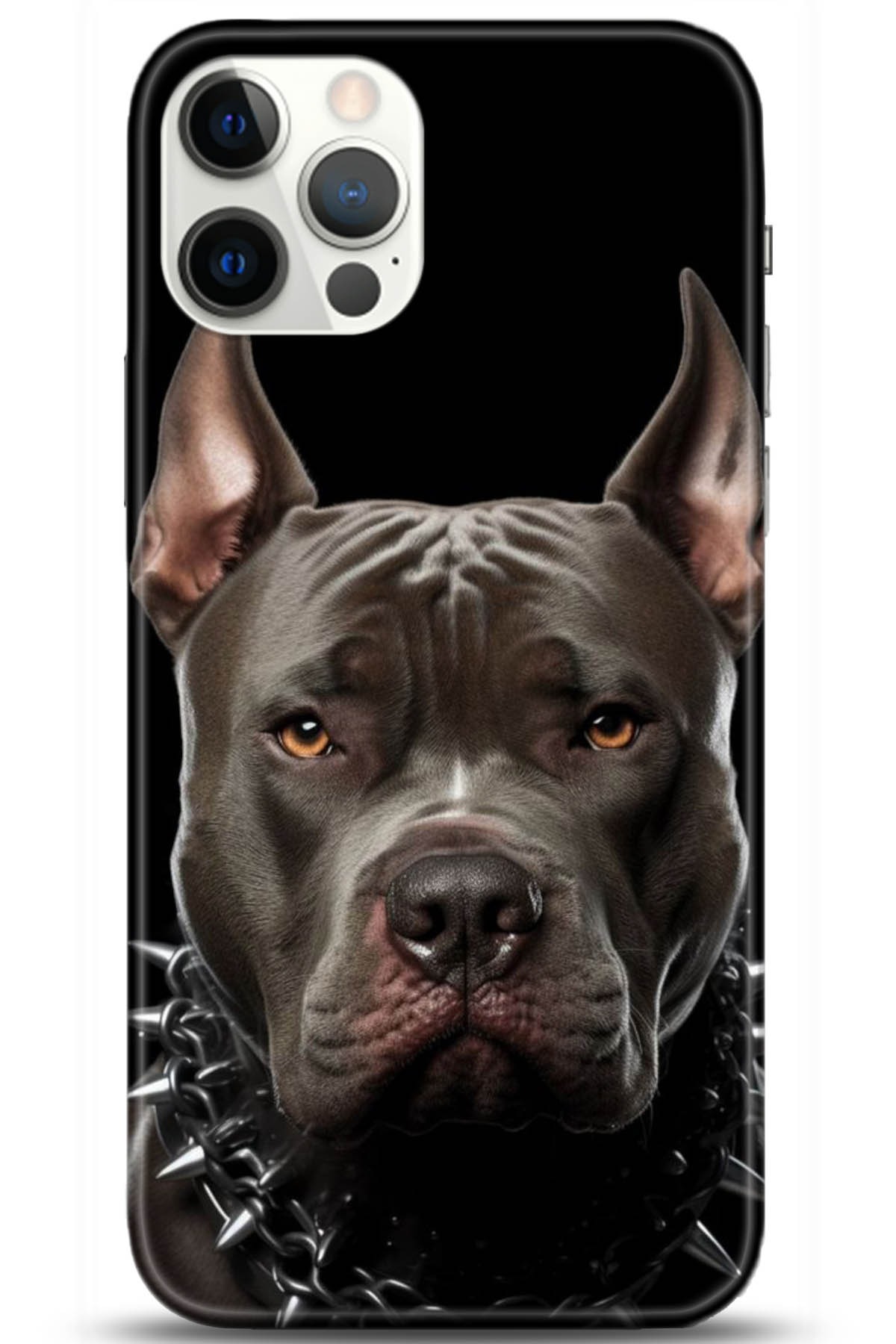 Apple iPhone 12 Pro 6.1inç Kılıf HD Baskılı Kılıf - Followed Institution 5104