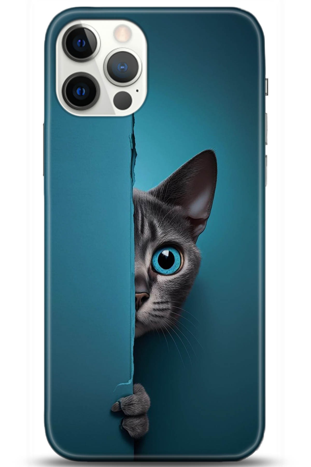 Apple iPhone 12 Pro 6.1inç Kılıf HD Baskılı Kılıf - Followed Institution 5204