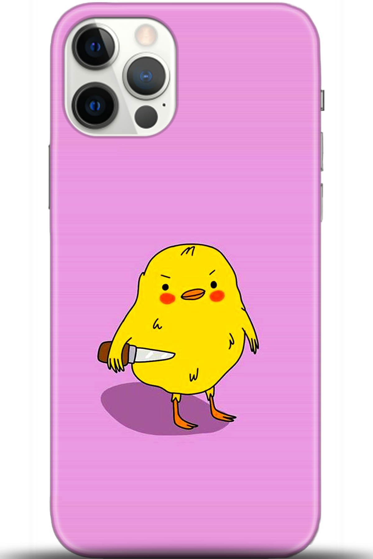 Apple iPhone 12 Pro 6.1inç Uyumlu Kılıf HD Baskılı Kılıf - Followed Institution 5475