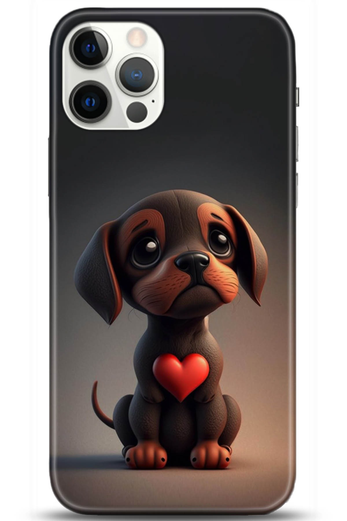 Apple iPhone 12 Pro Max 6.7inç Kılıf HD Baskılı Kılıf - Followed Institution 5050