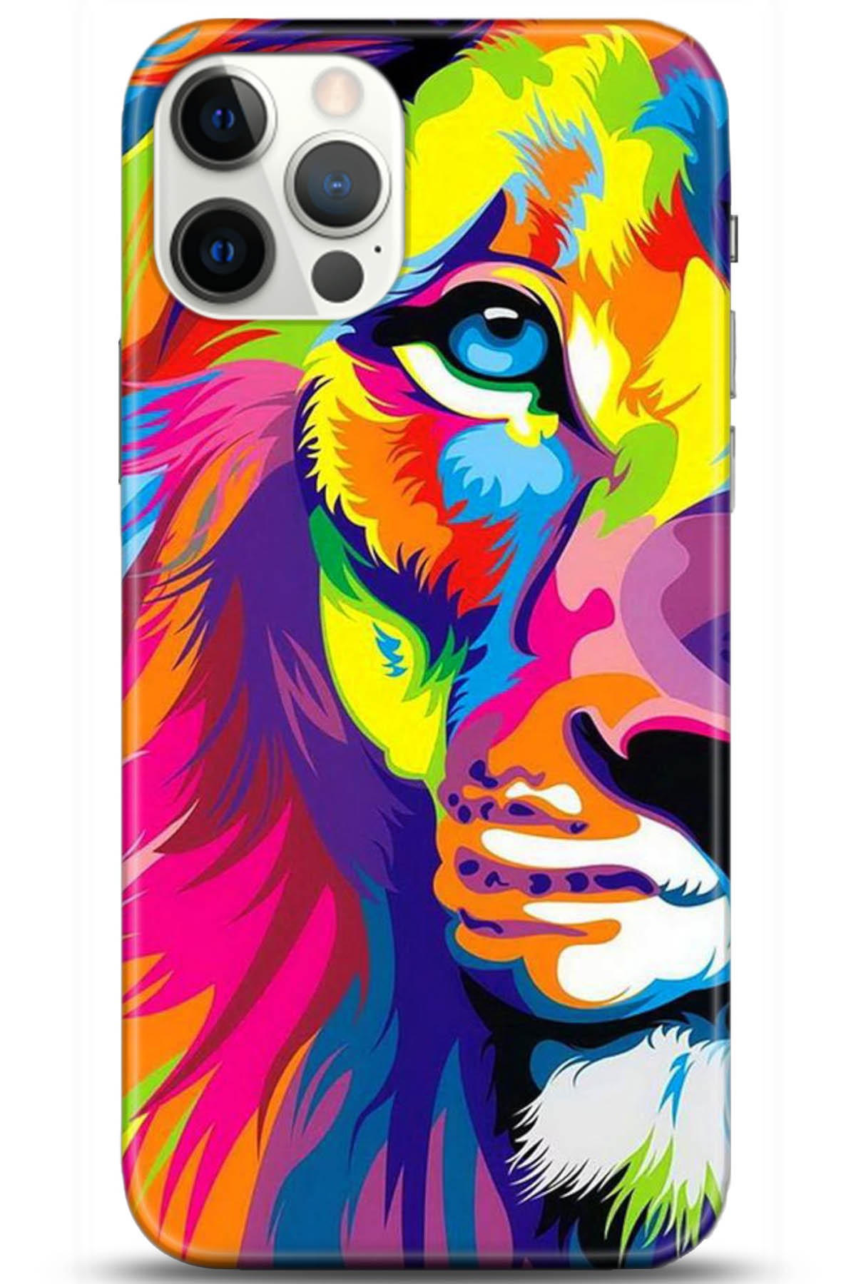 Apple iPhone 12 Pro Max 6.7inç Kılıf HD Baskılı Kılıf - Followed Institution 5084