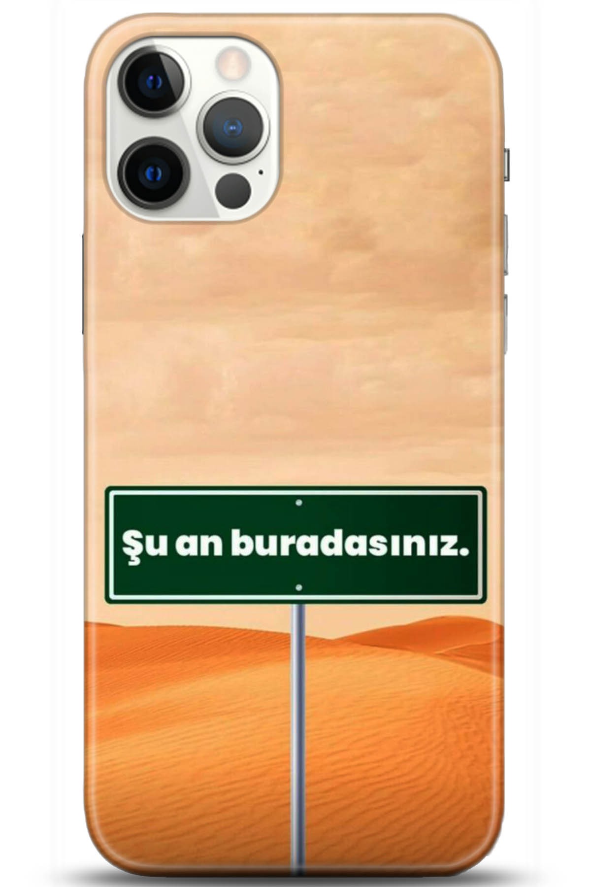 Apple iPhone 12 Pro Max 6.7inç Kılıf HD Baskılı Kılıf - Followed Institution 5159