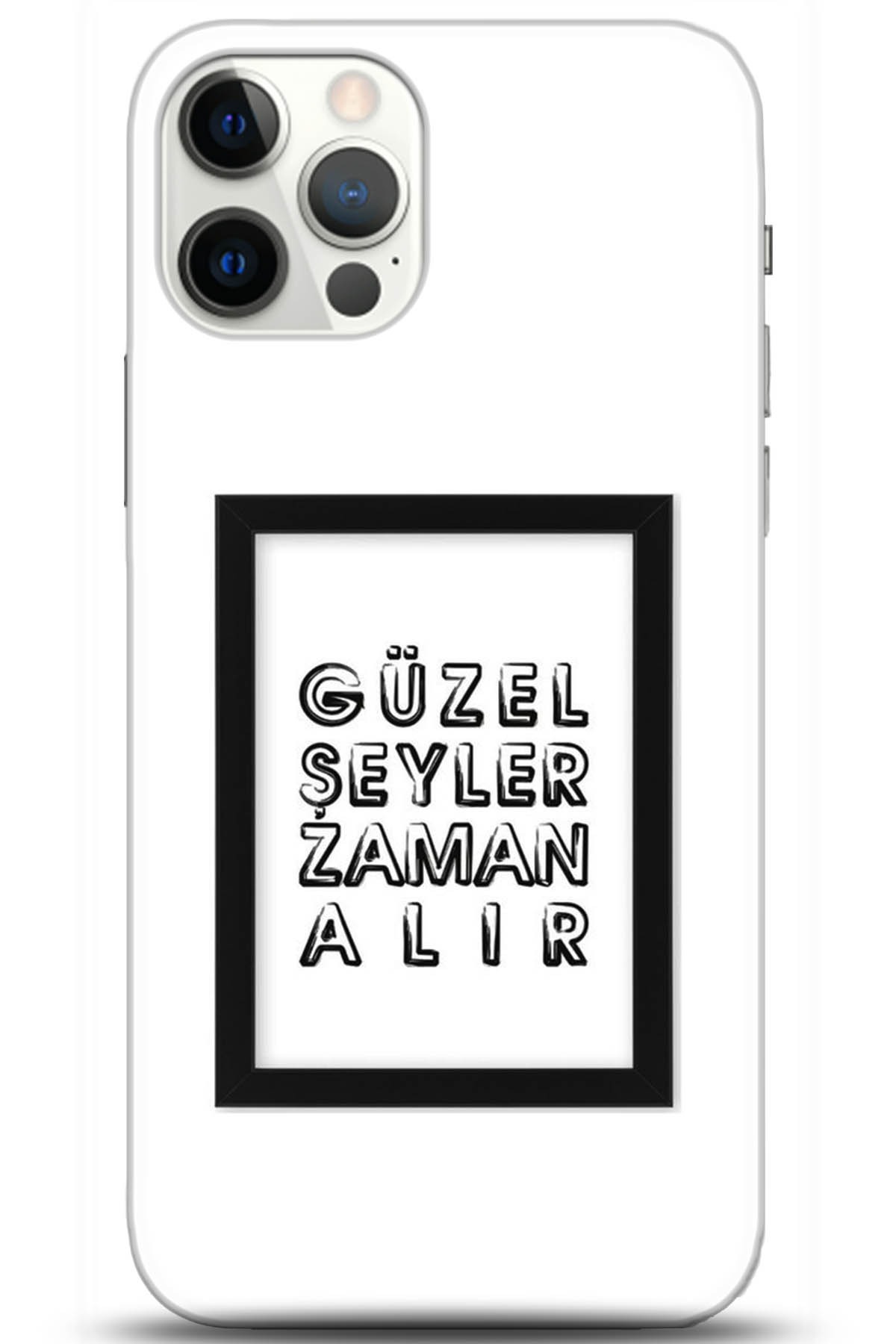 Apple iPhone 12 Pro Max 6.7inç Kılıf HD Baskılı Kılıf - Followed Institution 5307