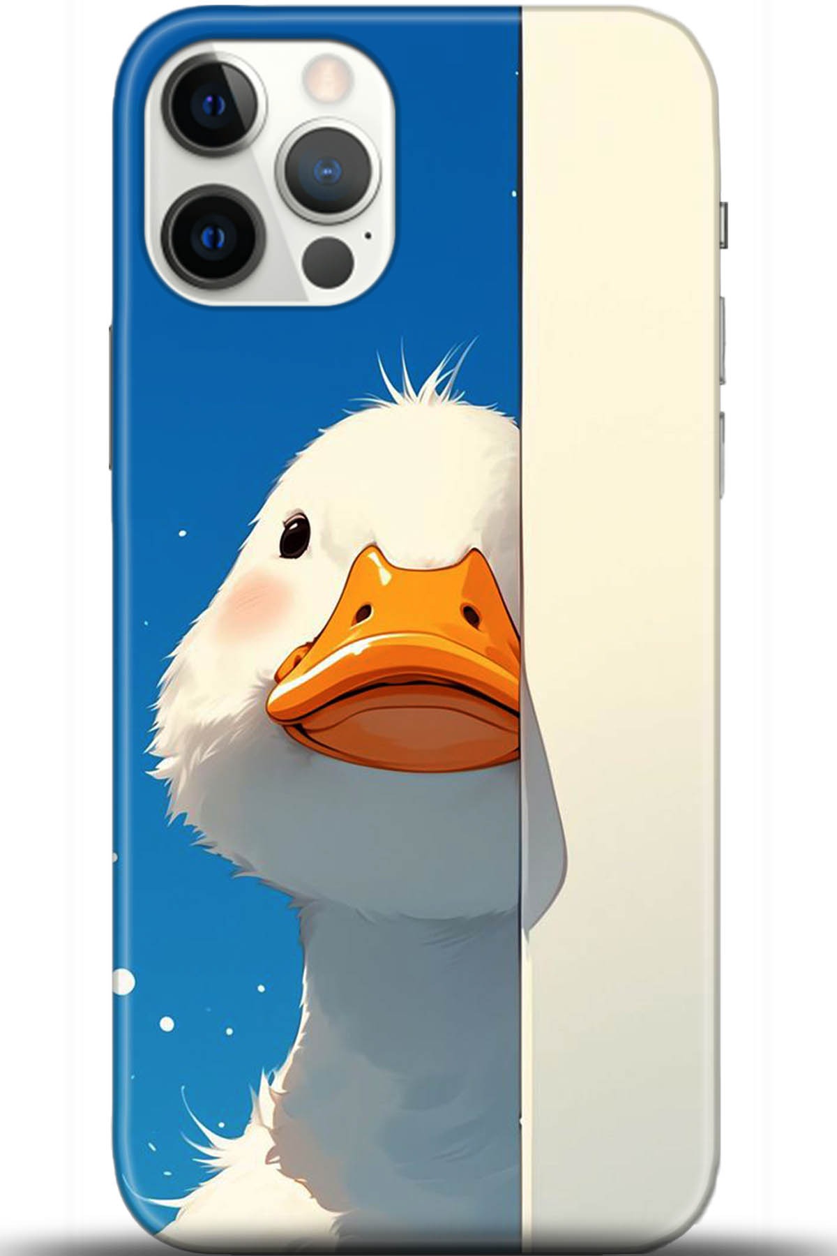 Apple iPhone 12 Pro Max 6.7inç Kılıf HD Baskılı Kılıf - Followed Institution 5375