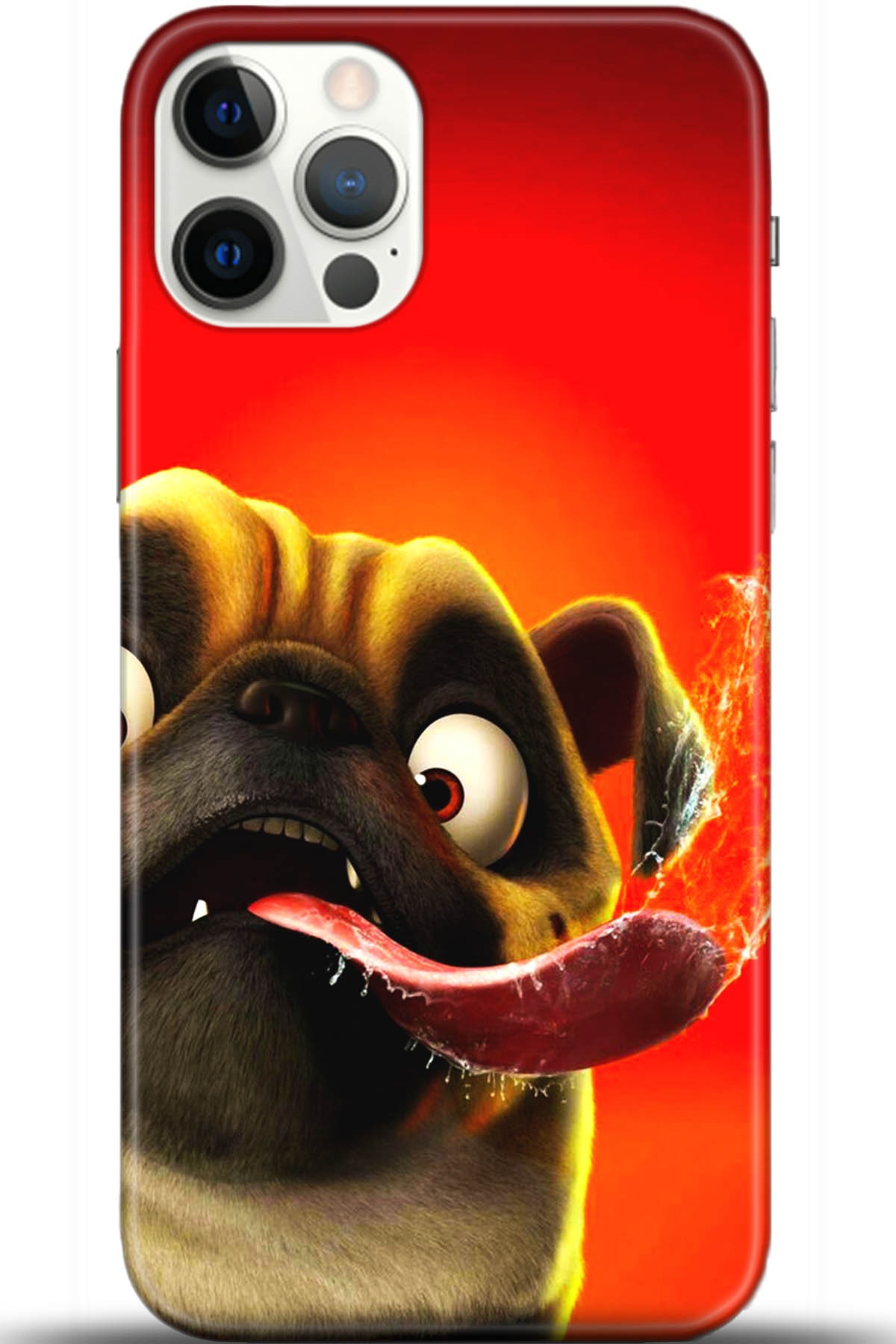 Apple iPhone 12 Pro Max 6.7inç Kılıf HD Baskılı Kılıf - Followed Institution 5451