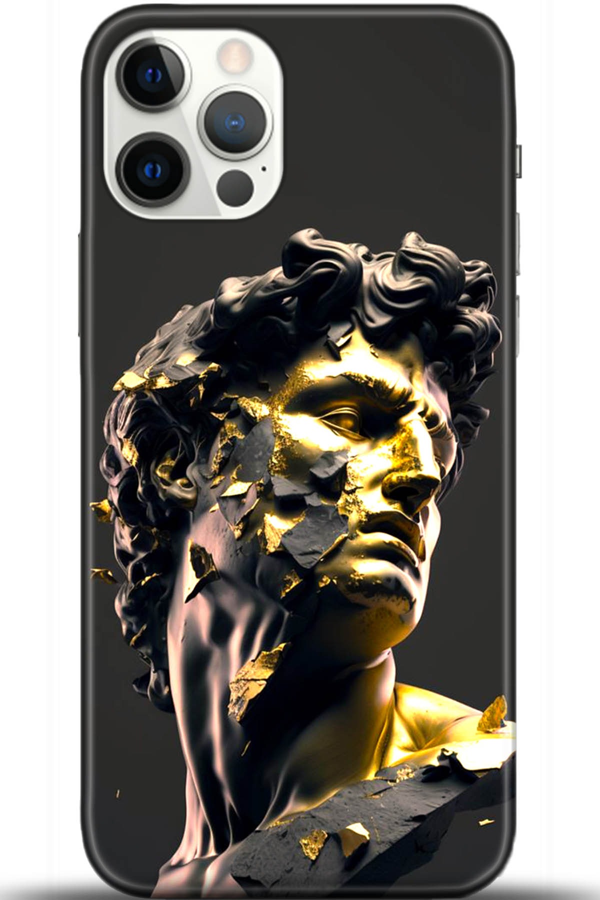 Apple iPhone 12 Pro Max 6.7inç Kılıf HD Baskılı Kılıf - Followed Institution 5574