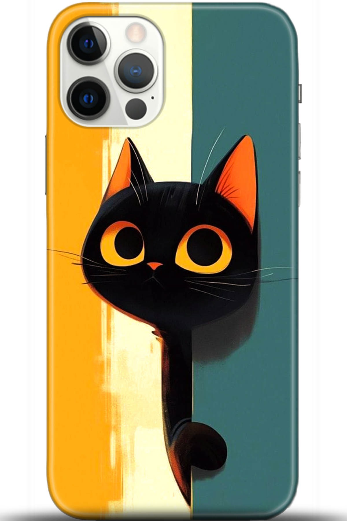 Apple iPhone 12 Pro Max 6.7inç Kılıf HD Baskılı Kılıf - Followed Institution 5654