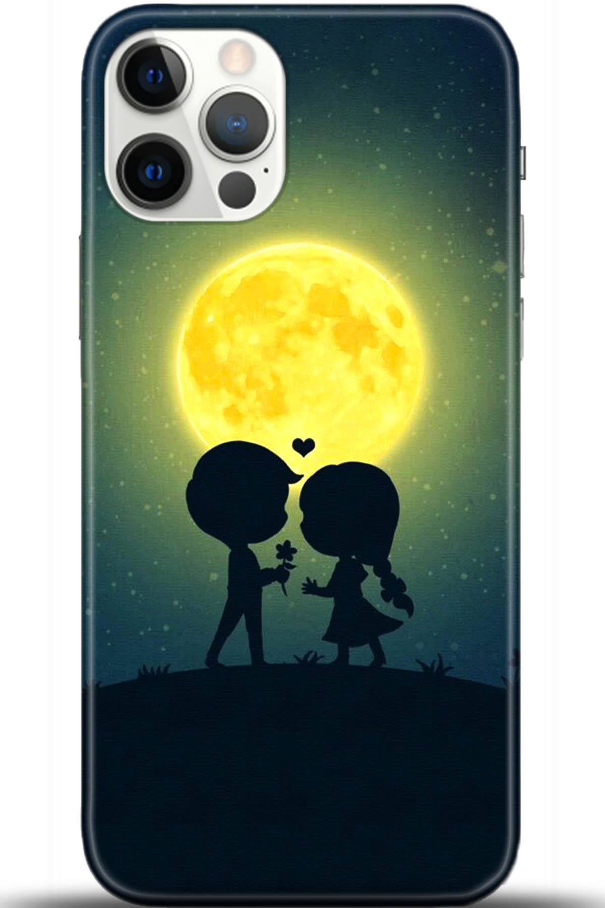 Apple iPhone 12 Pro Max 6.7inç Kılıf HD Baskılı Kılıf - Followed Institution 5690