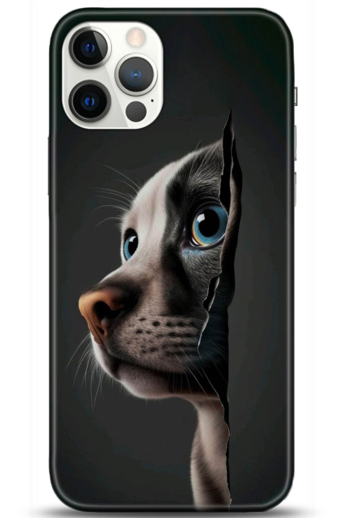 Apple iPhone 12 Pro Max 6.7inç Uyumlu Kılıf HD Baskılı Kılıf - Followed Institution 5108