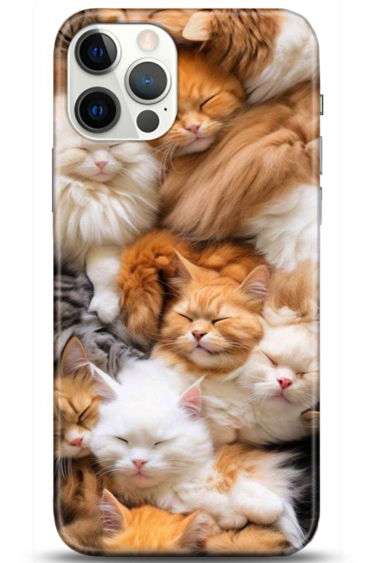 Apple iPhone 12 Pro Max 6.7inç Uyumlu Kılıf HD Baskılı Kılıf - Followed Institution 5234