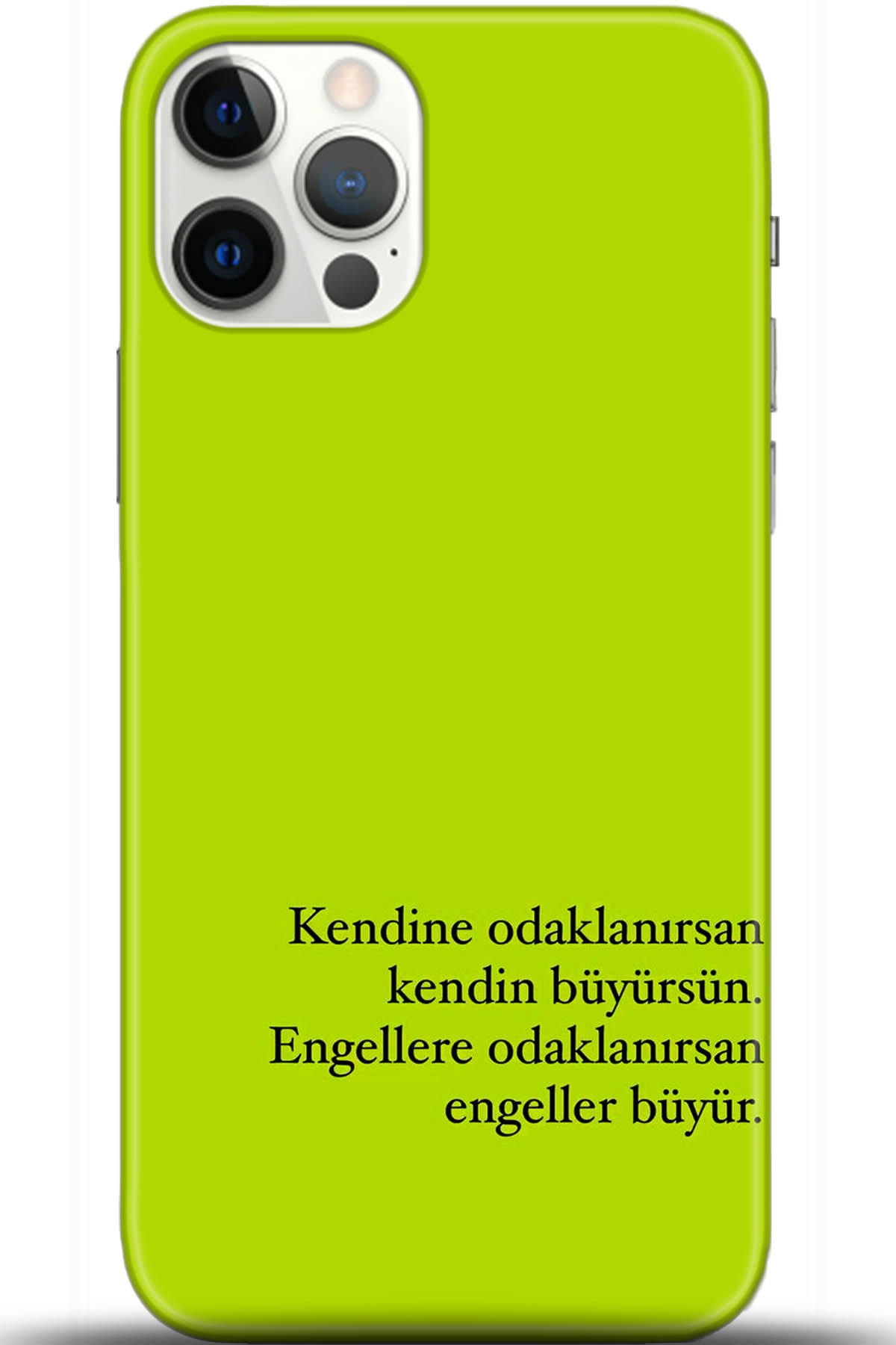 Apple iPhone 12 Pro Max 6.7inç Uyumlu Kılıf HD Baskılı Kılıf - Followed Institution 5593