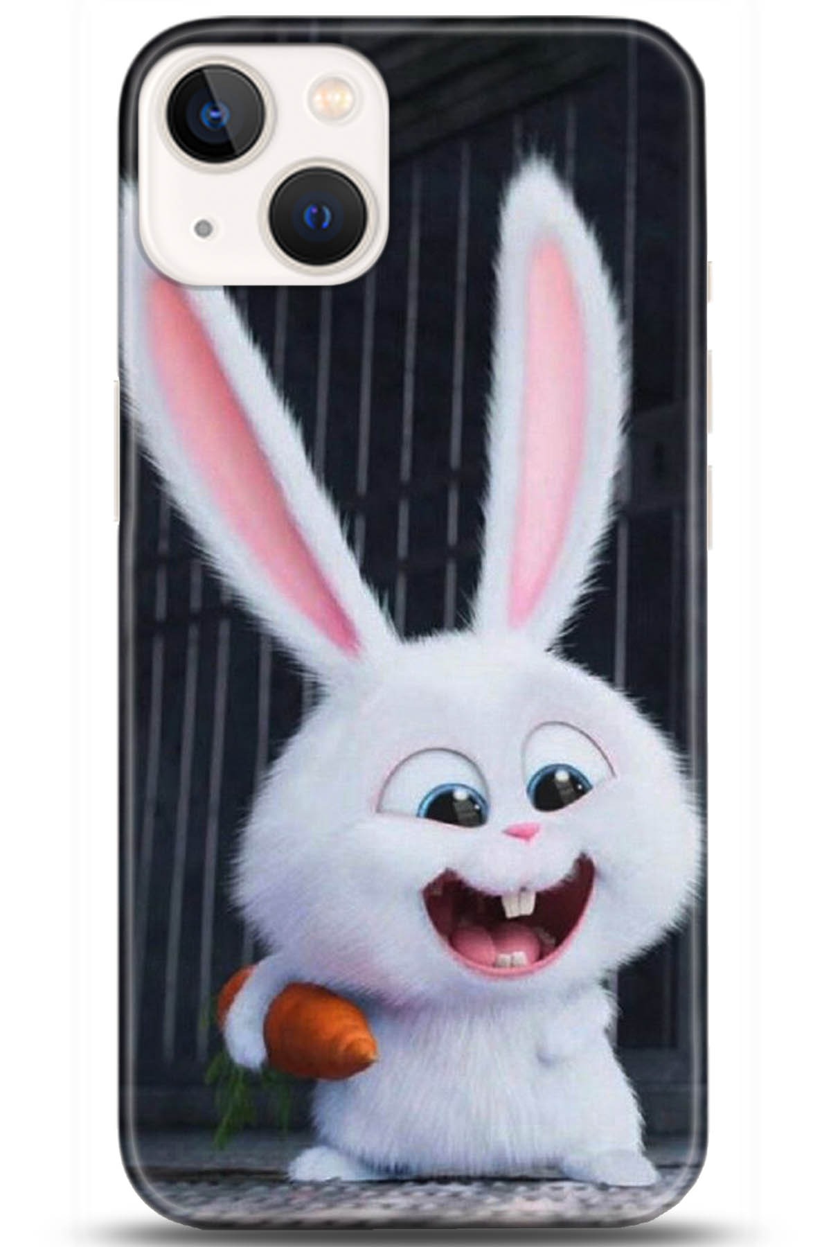 Apple iPhone 13 Kılıf HD Baskılı Kılıf - Followed Institution 5048