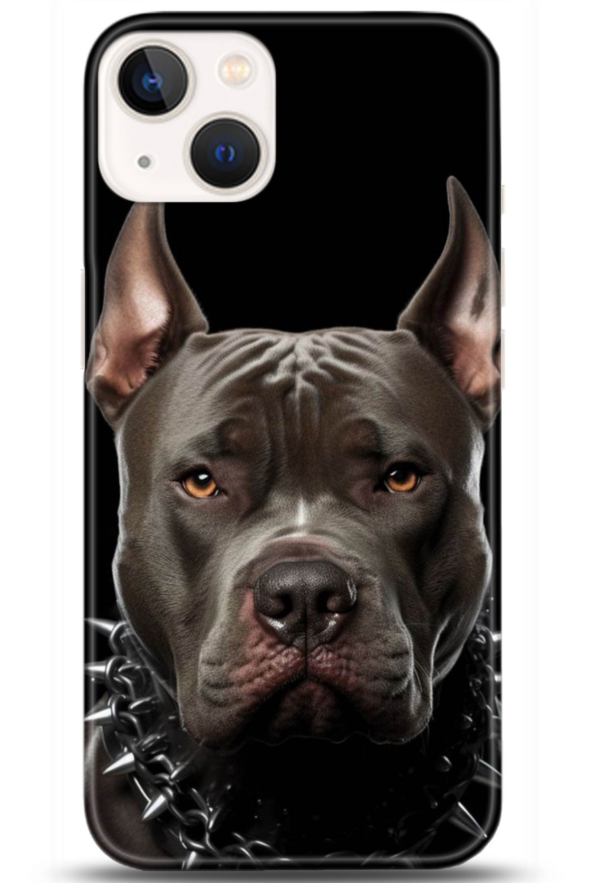 Apple iPhone 13 Uyumlu Kılıf HD Baskılı Kılıf - Followed Institution 5104