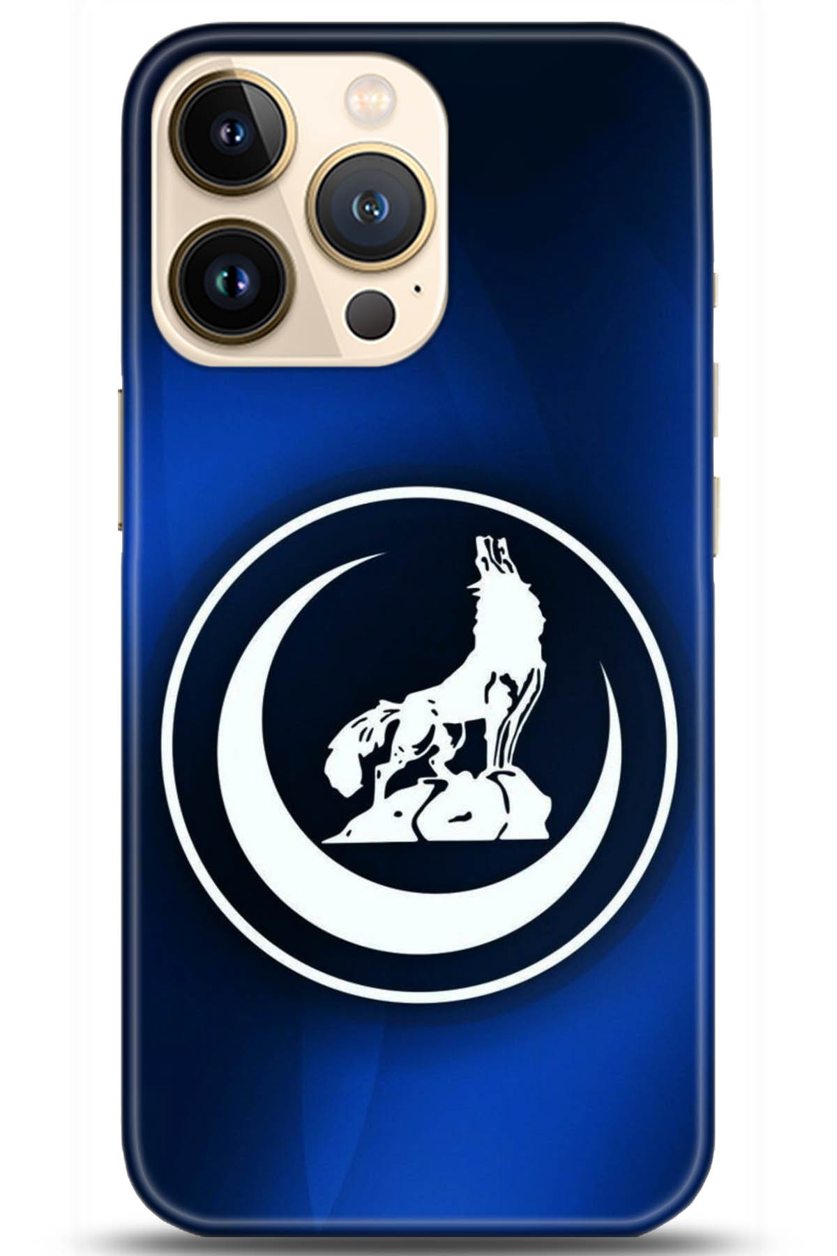 Apple iPhone 13 Pro Kılıf HD Baskılı Kılıf - Followed Institution 5130