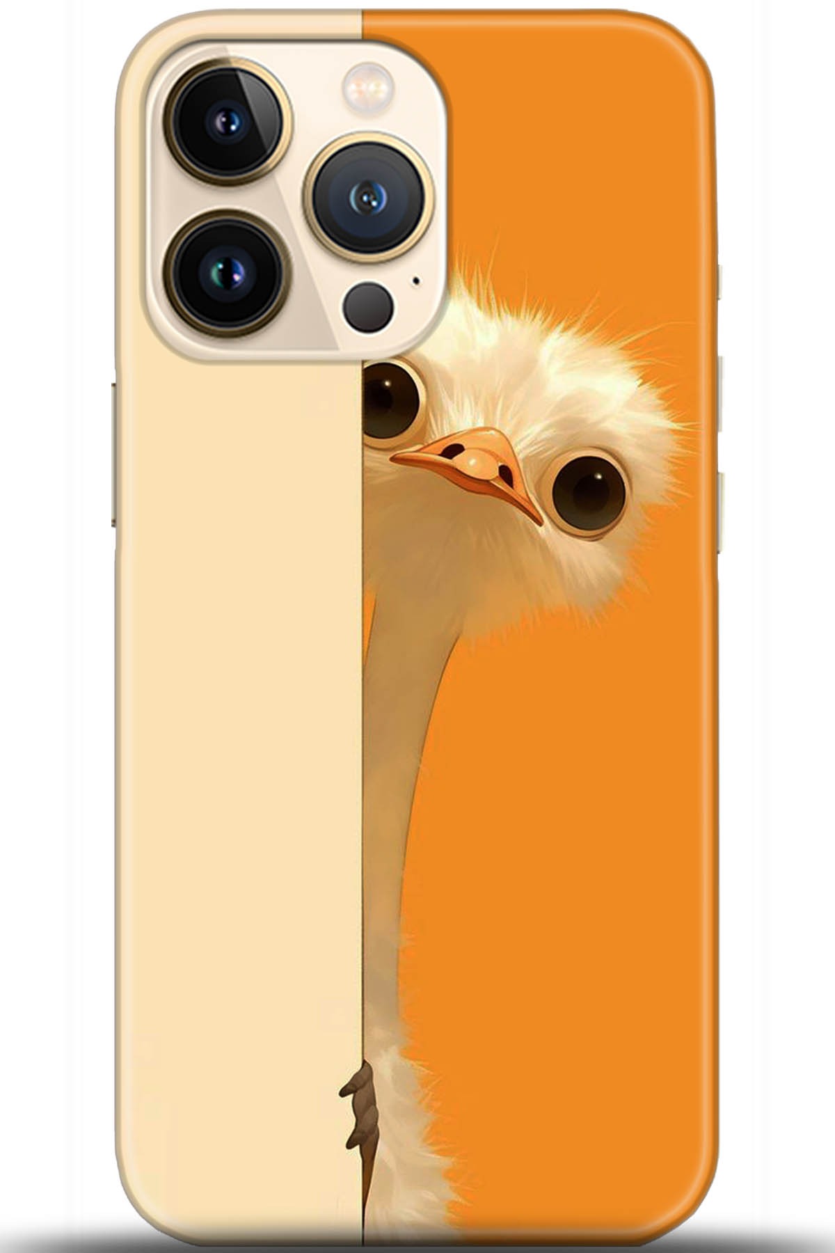 Apple iPhone 13 Pro Kılıf HD Baskılı Kılıf - Followed Institution 5418