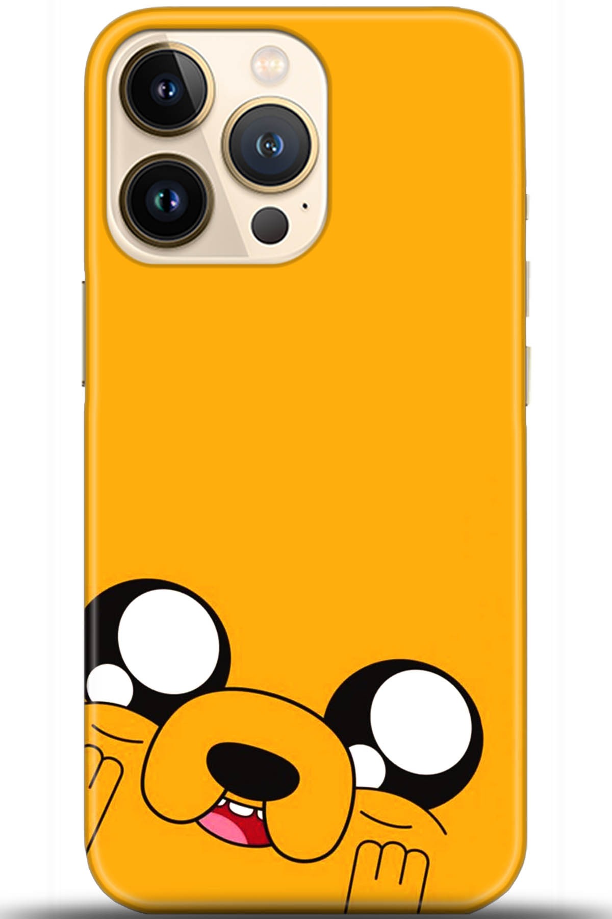 Apple iPhone 13 Pro Kılıf HD Baskılı Kılıf - Followed Institution 5531