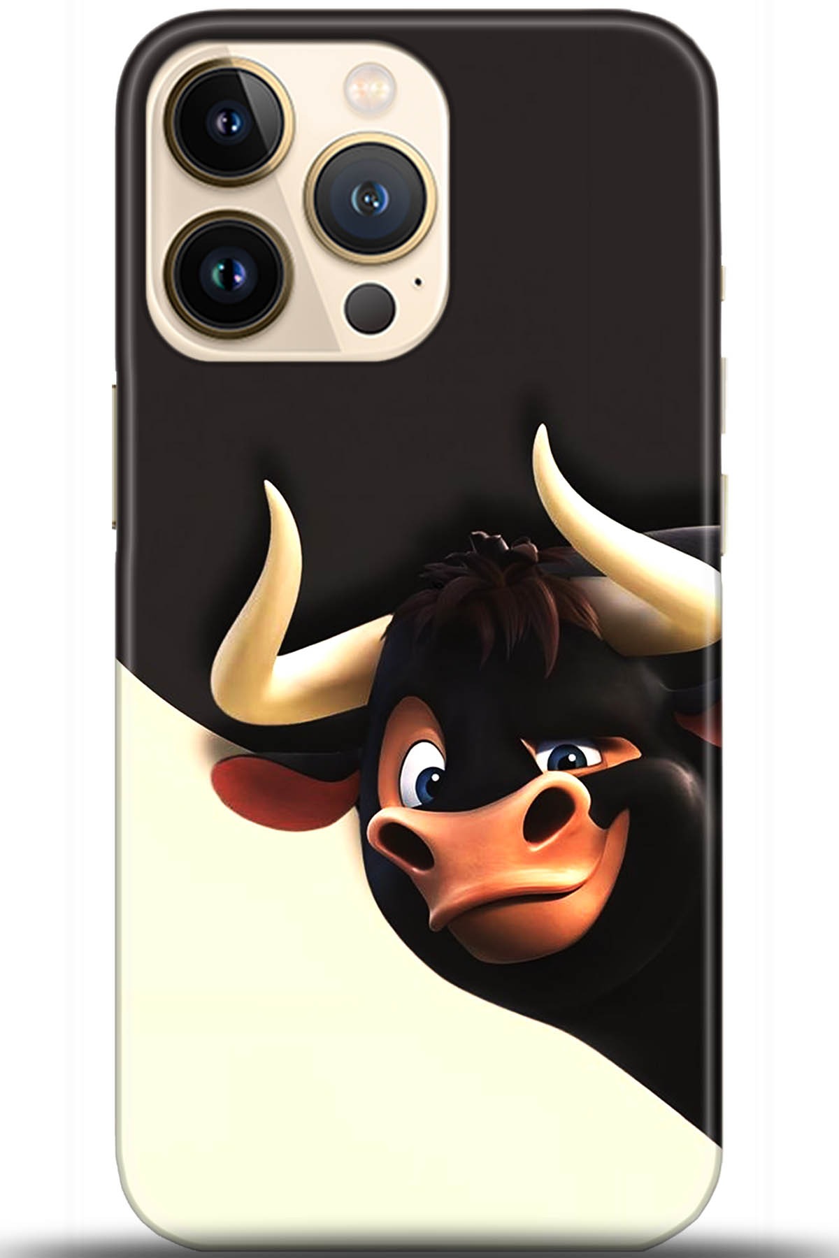 Apple iPhone 13 Pro Kılıf HD Baskılı Kılıf - Followed Institution 5608