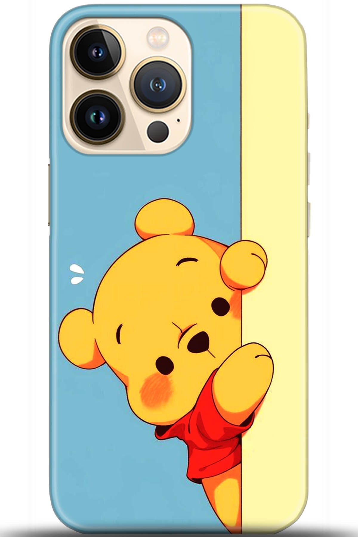 Apple iPhone 13 Pro Kılıf HD Baskılı Kılıf - Followed Institution 5648