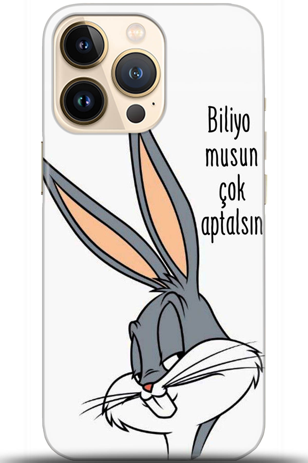 Apple iPhone 13 Pro Kılıf HD Baskılı Kılıf - Followed Institution 5685