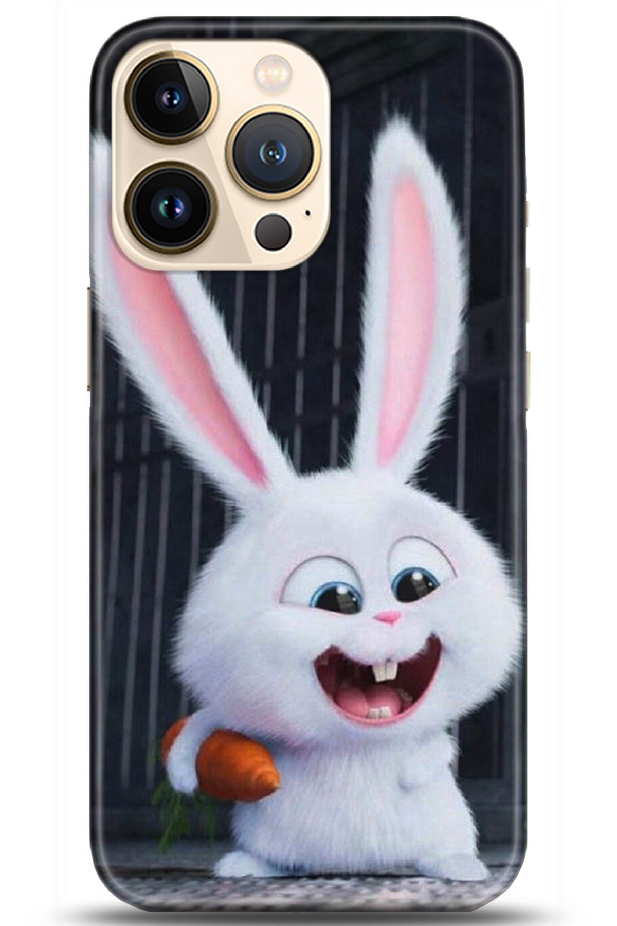 Apple iPhone 13 Pro Uyumlu Kılıf HD Baskılı Kılıf - Followed Institution 5048