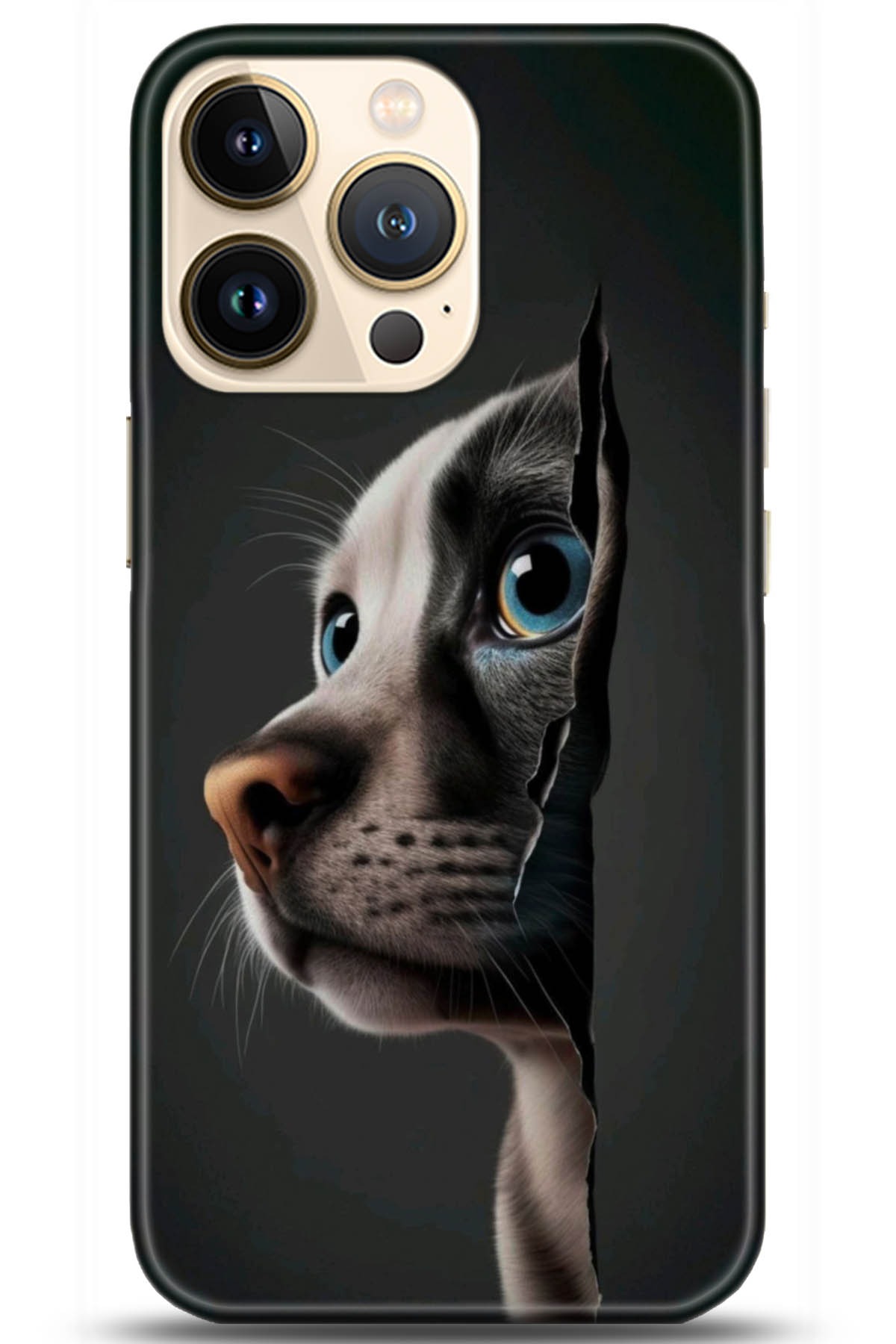 Apple iPhone 13 Pro Uyumlu Kılıf HD Baskılı Kılıf - Followed Institution 5108