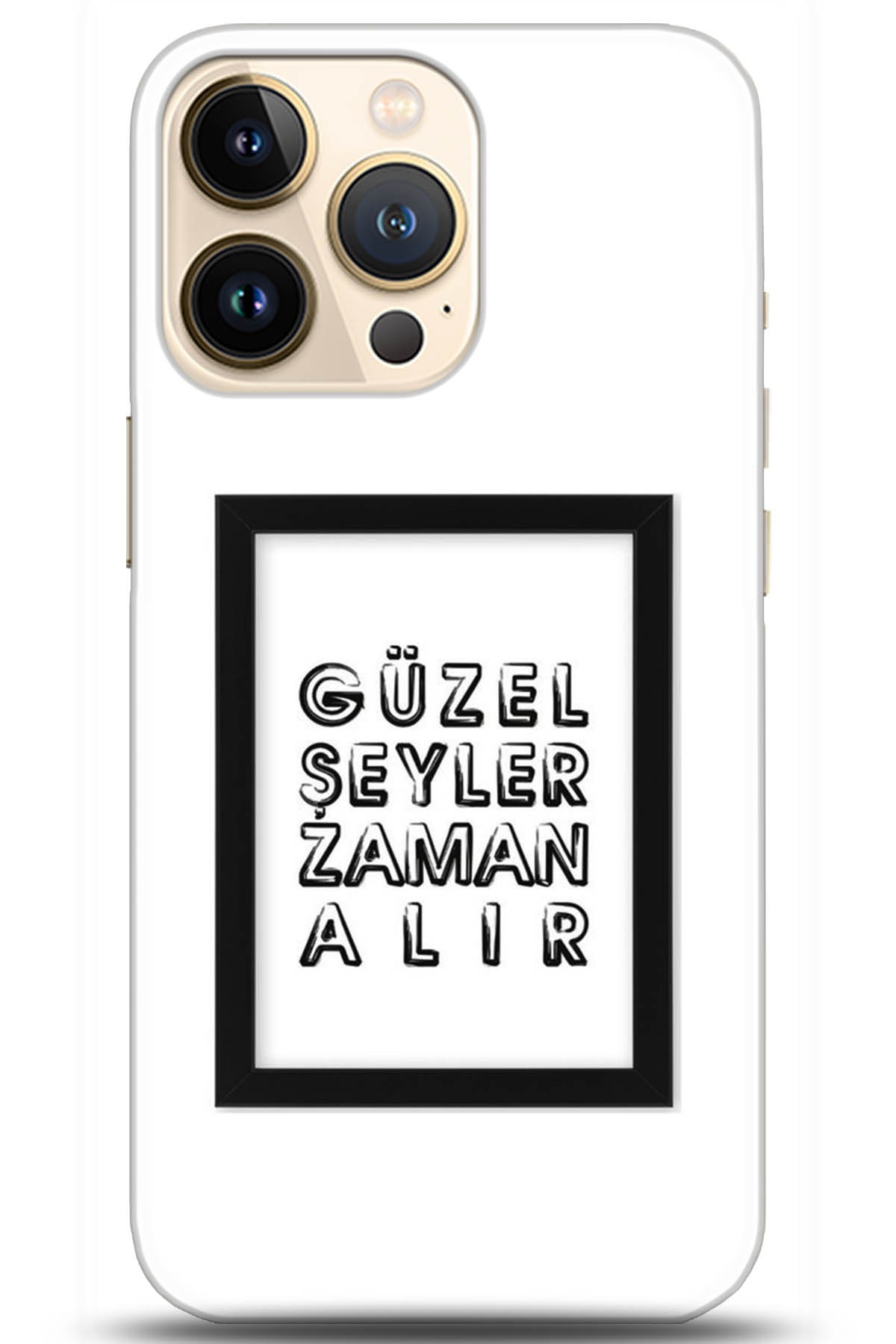 Apple iPhone 13 Pro Uyumlu Kılıf HD Baskılı Kılıf - Followed Institution 5307