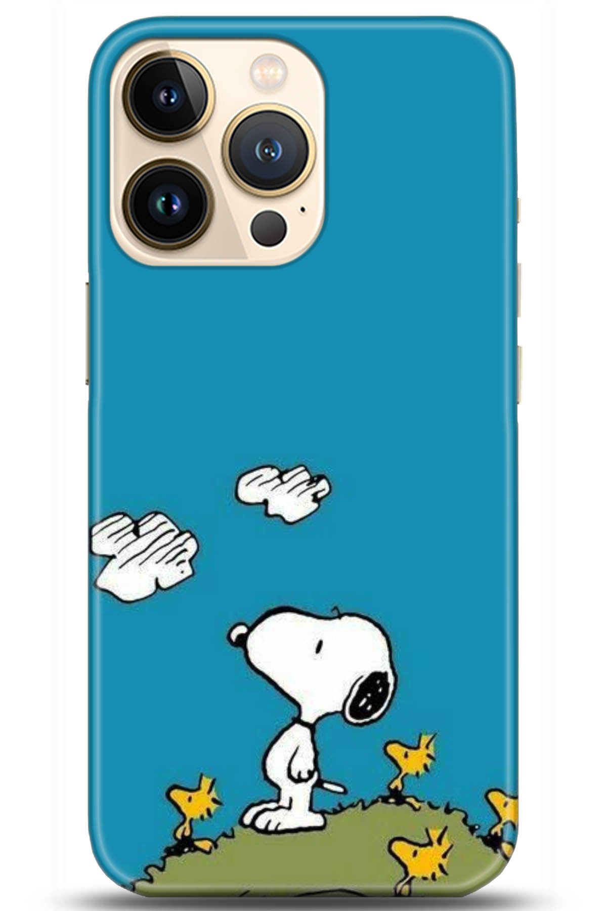 Apple iPhone 13 Pro Max Kılıf HD Baskılı Kılıf - Followed Institution 5099