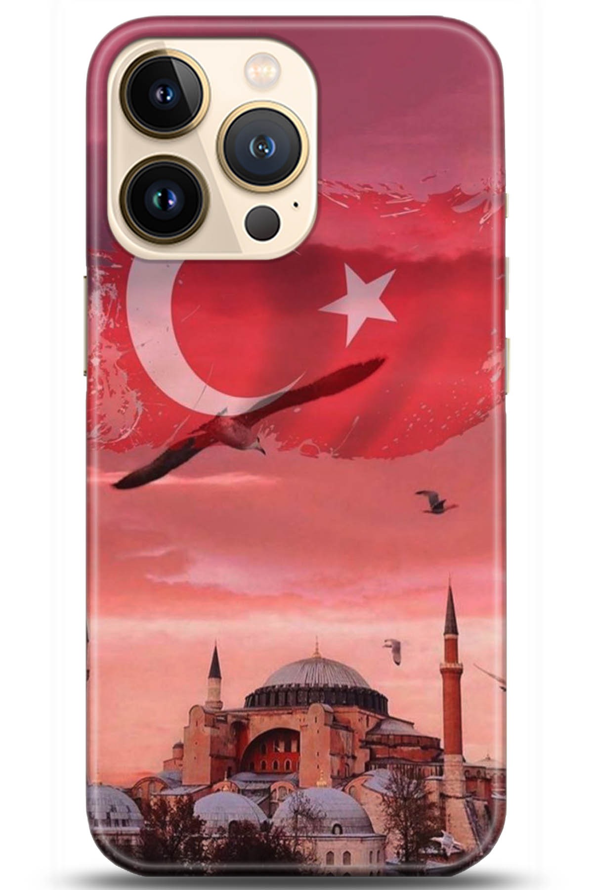 Apple iPhone 13 Pro Max Kılıf HD Baskılı Kılıf - Followed Institution 5179