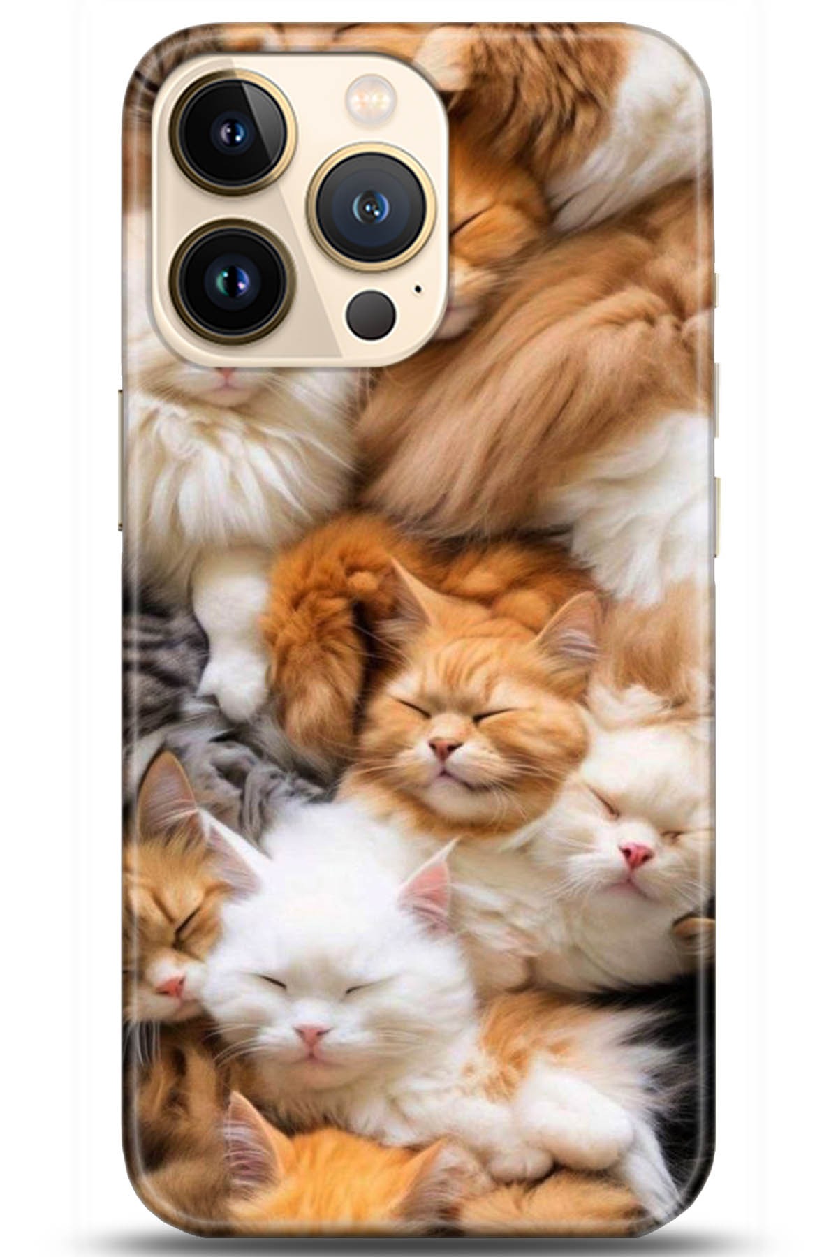 Apple iPhone 13 Pro Max Kılıf HD Baskılı Kılıf - Followed Institution 5234