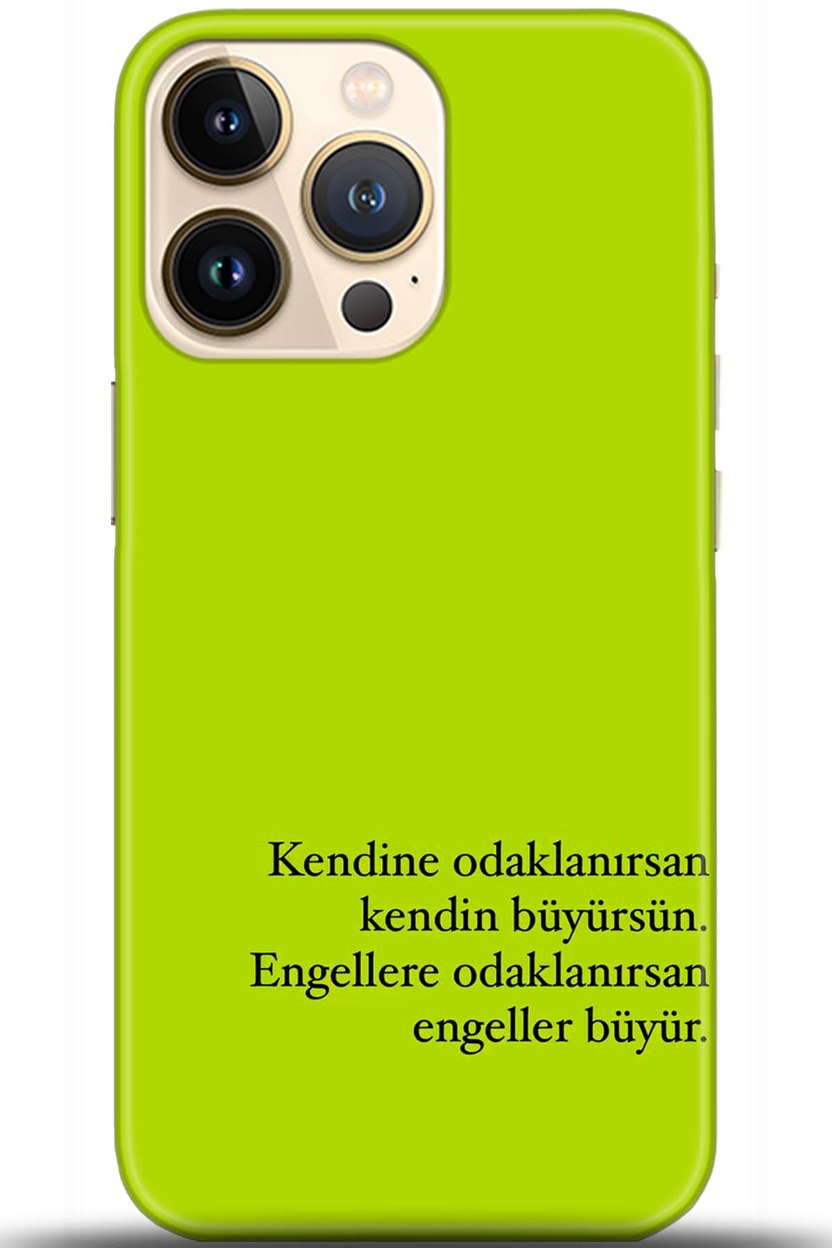 Apple iPhone 13 Pro Max Kılıf HD Baskılı Kılıf - Followed Institution 5593