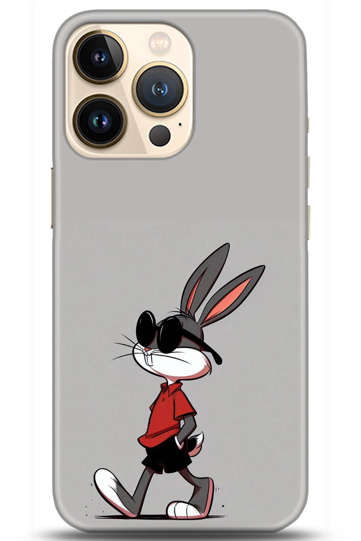 Apple iPhone 13 Pro Max Uyumlu Kılıf HD Baskılı Kılıf - Followed Institution 5247