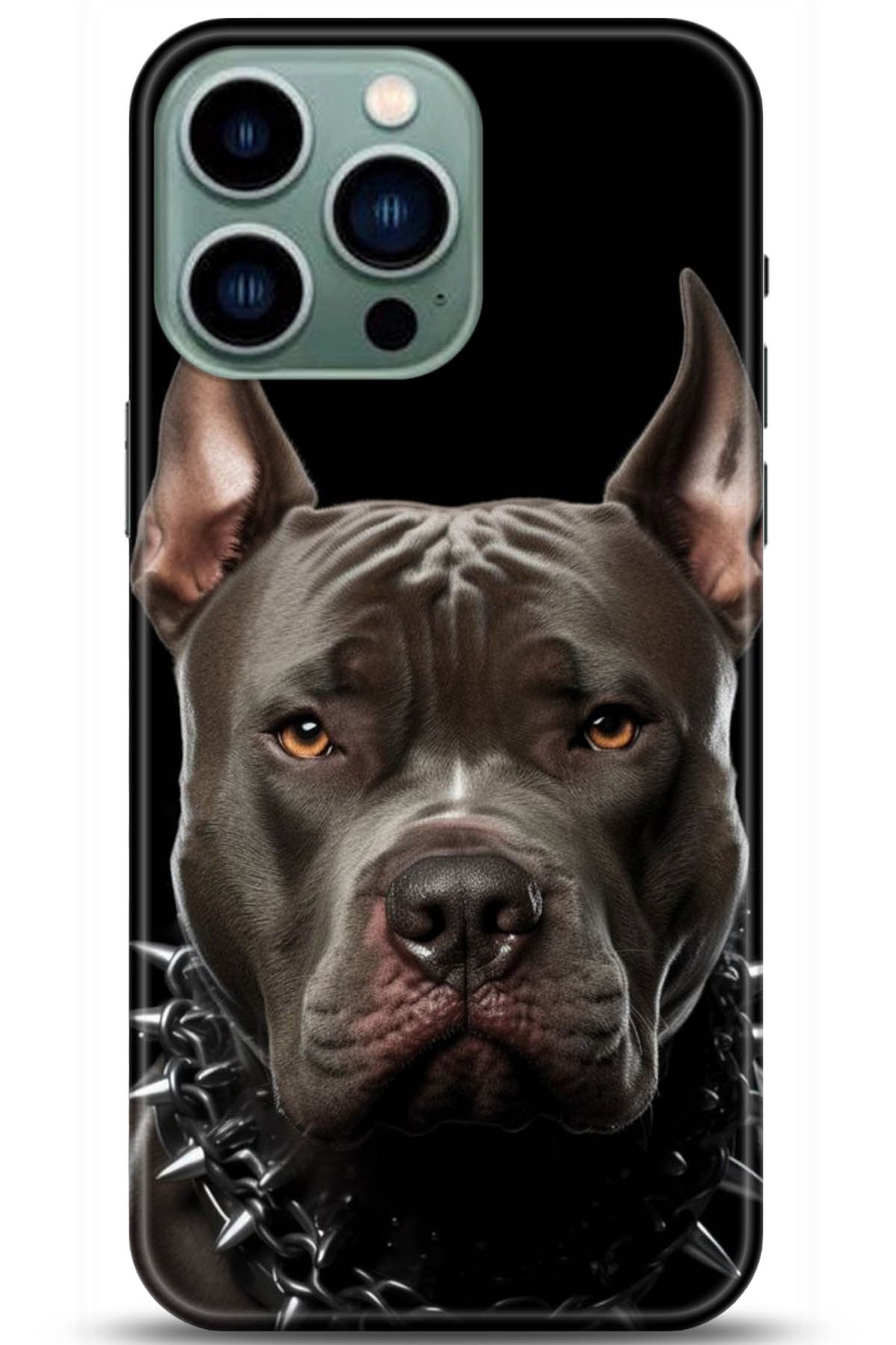 Apple iPhone 14 Pro Kılıf HD Baskılı Kılıf - Followed Institution 5104