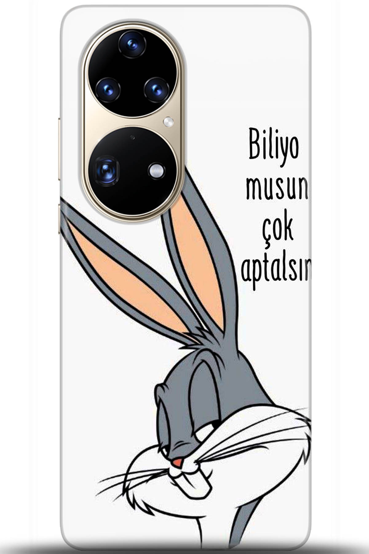 Huawei P50 Pro Uyumlu Kılıf HD Baskılı Kılıf - Followed Institution 5685