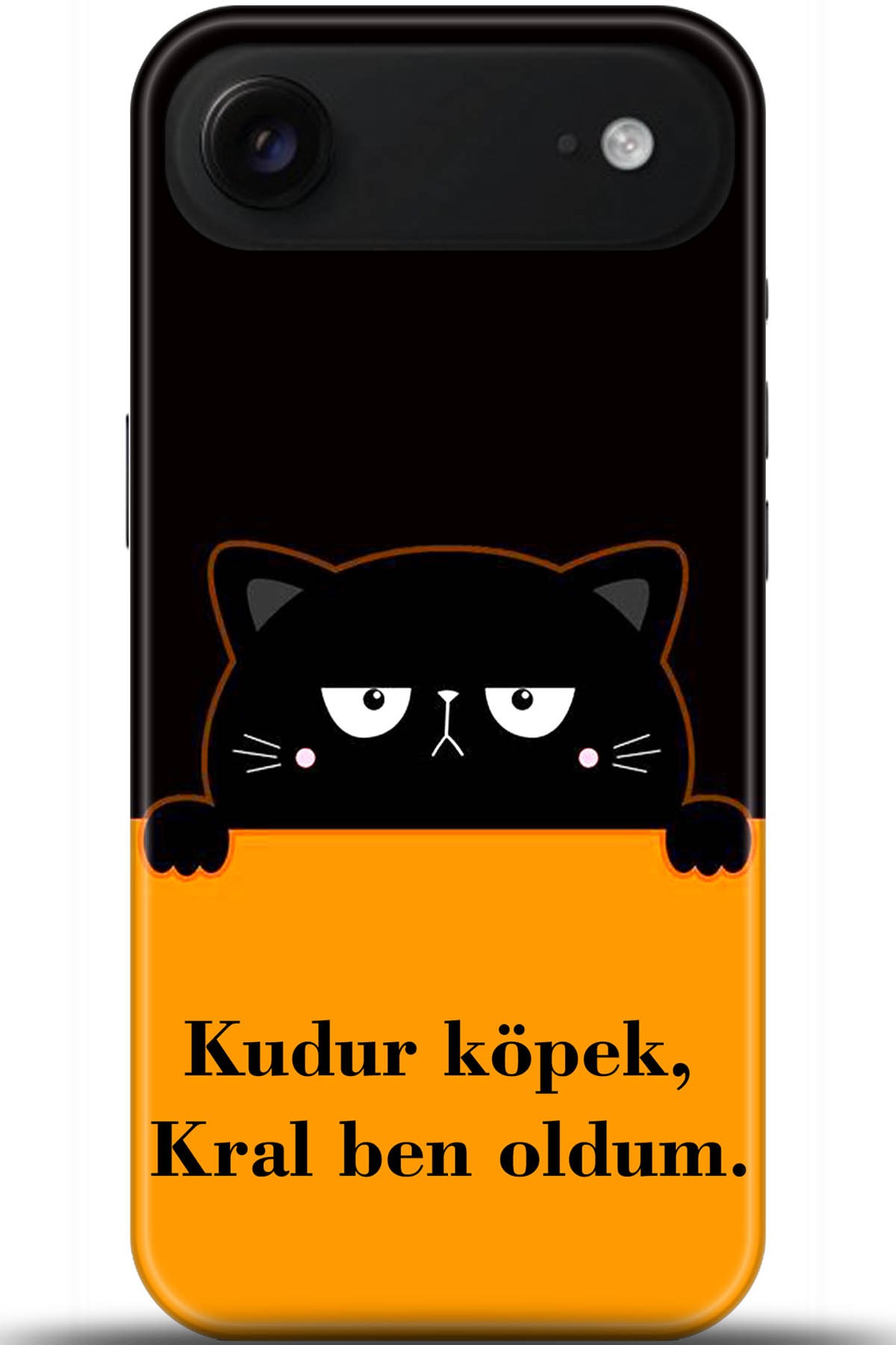 Apple iPhone Air Uyumlu Kılıf HD Baskılı Kılıf - Followed Institution 5719